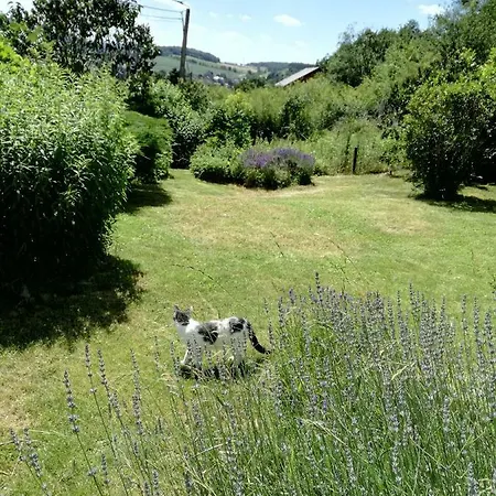 Les Tiennes Holiday home *