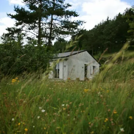 Les Tiennes
